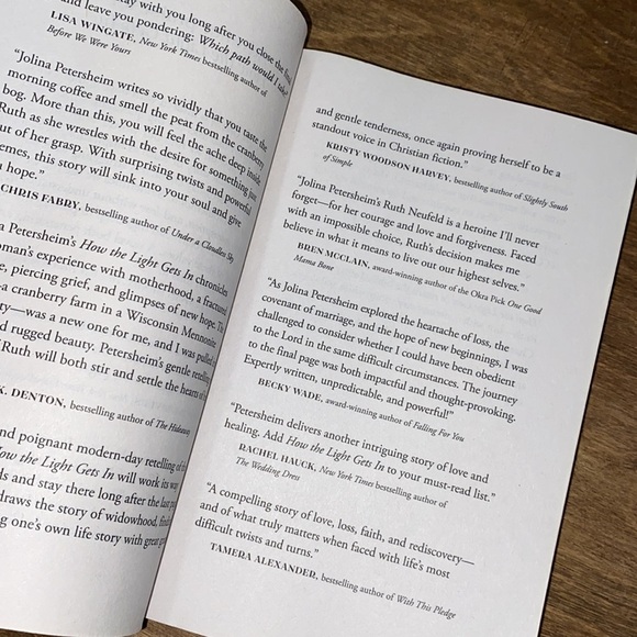 How the light gets in by Jolina Petersheim paper back book - Picture 3 of 6